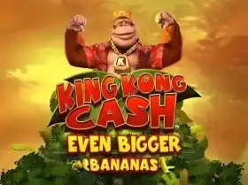 1xbetci